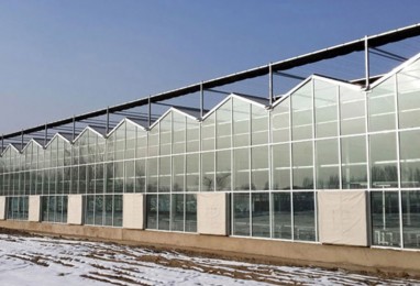 建造溫室大棚應注意的四個要點